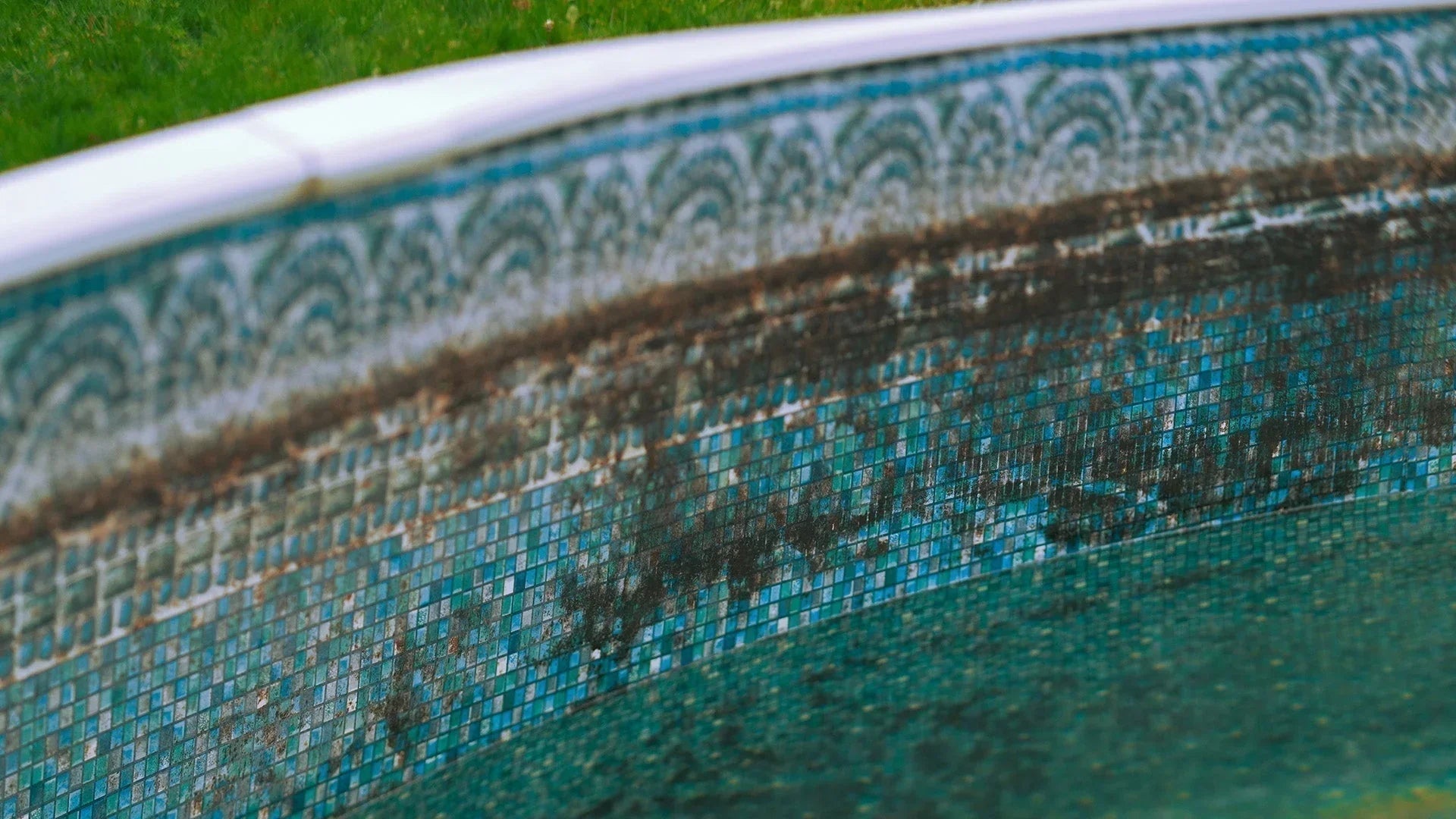 How to Clean Dirty Pool Walls?