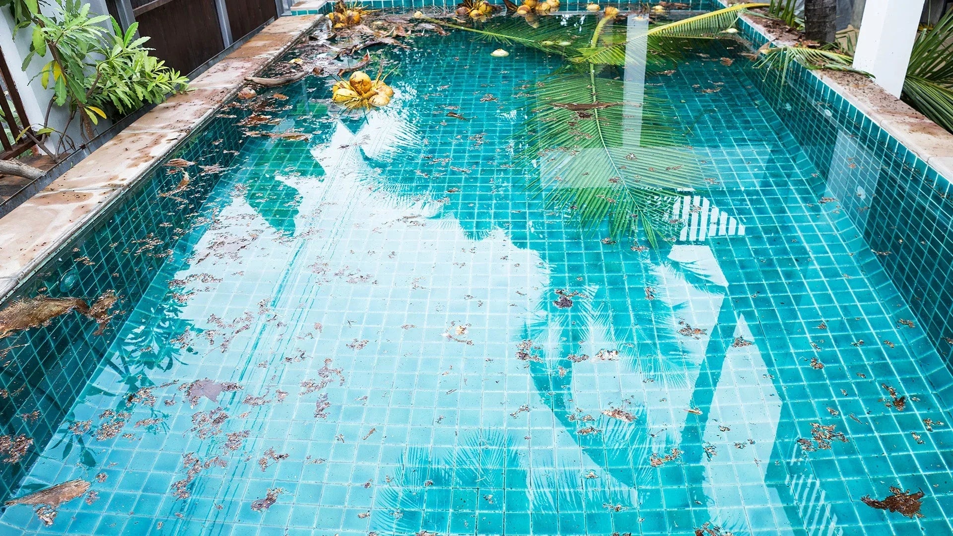 How to Get Leaves Out of Your Pool: Best Methods &amp; Tools for 2025